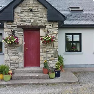 Country Lane Westport